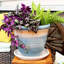 Ensemble de 2 pots à fleurs ronds en céramique émaillée - convient aux jardinières 7 "- perle-897659748-851922034