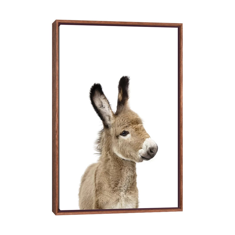 «Baby Donkey» par Sissi & Seb - reproduction de photo, Toile avec cadre brun, H 40 po x l 26 po x P 1,5 po, Pas de tapis