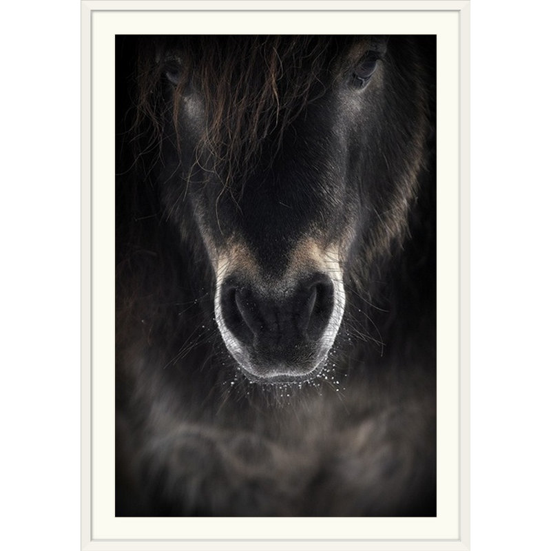 «Straub 'Ulysses», reproduction de photo, Cadre blanc, H 38 po x l 28 po x p 1 po