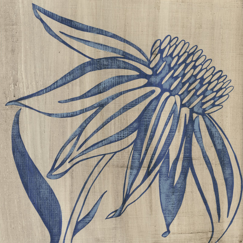 Indigo Coneflower by Chariklia Zarris - Wrapped Canvas Painting, 51cm H x 51cm W