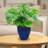 Atenea Francine Round Imperial Ceramic Outdoor Planter-860479538-860479550