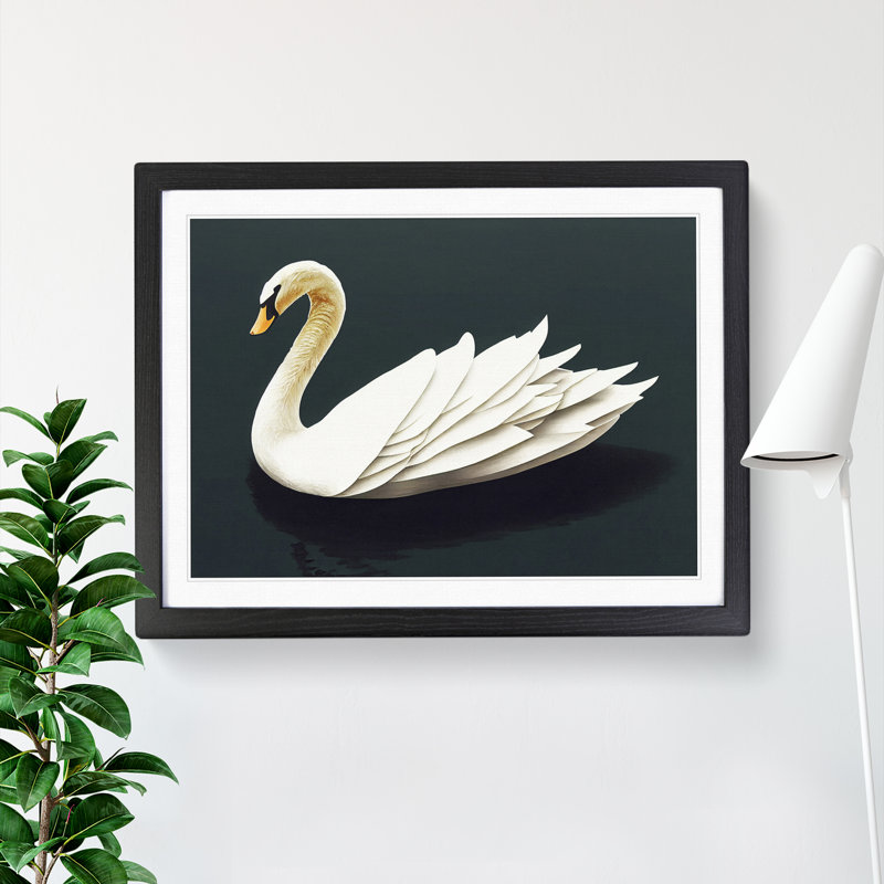 Inspirational Swan - Single Picture Frame Print, Black, 46cm H x 64cm W x 2cm D