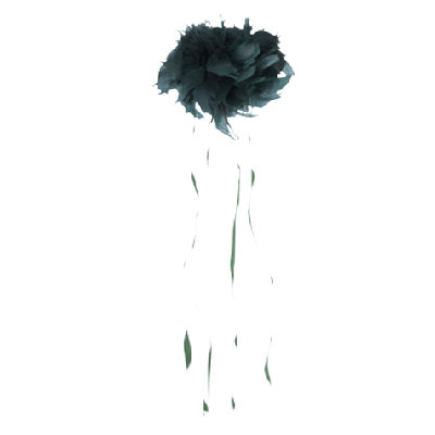 Arrangement