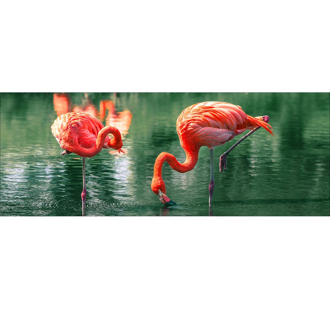 Glasbild Flamingo I, Kunstdruck