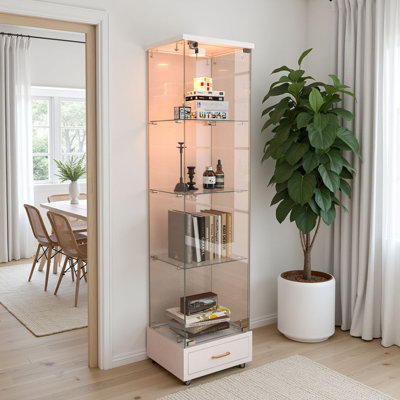 65.8"H Glass Display Cabinet, Bookcase With 13-Color LED & 1 Drawer by Wrought Studio
