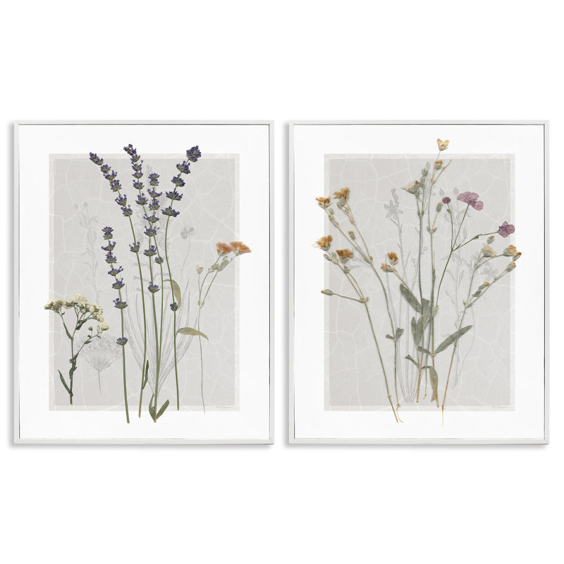 Delicate Wildflower Herb Sprigs 2 Piece White Framed Giclee Art Set by Carol Robinson, 20" H x 16" W x 1.5" D