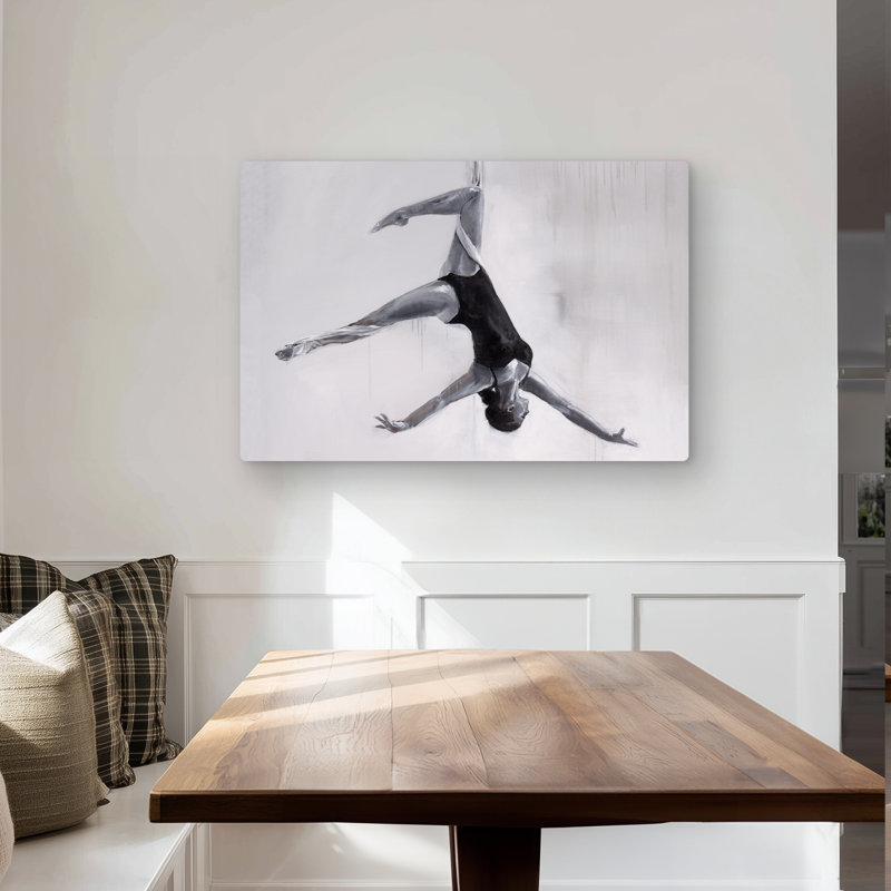 Dancer on Aerial Silks - Black & White Metal Print Decor