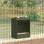 Small Animal Feeder-1177784298