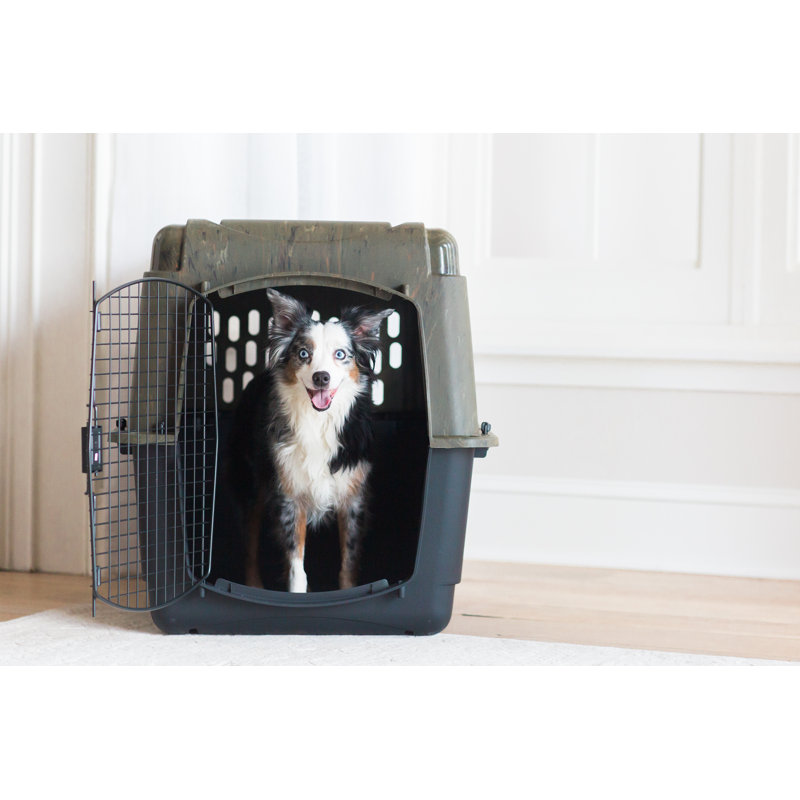 Porte-chien Adira, H 24 po x l 22,5 po x P 32 po