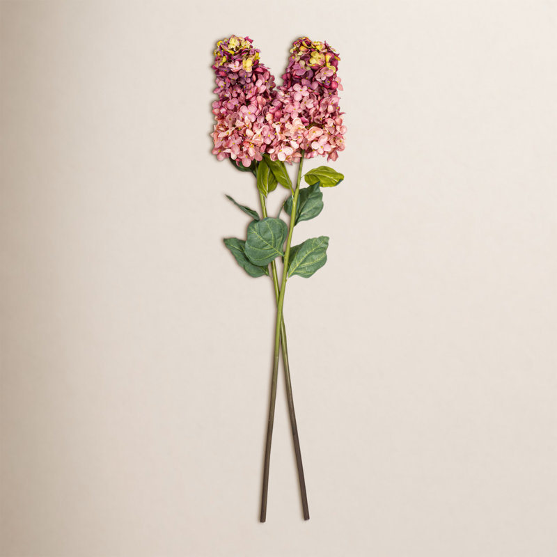 Tige d'Hortensia Milnor, Mauve