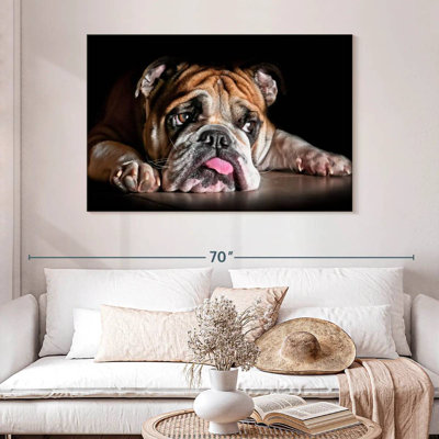 Sad Bulldog