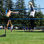 Ensemble de tournoi de volleyball Tournament Flex 1000