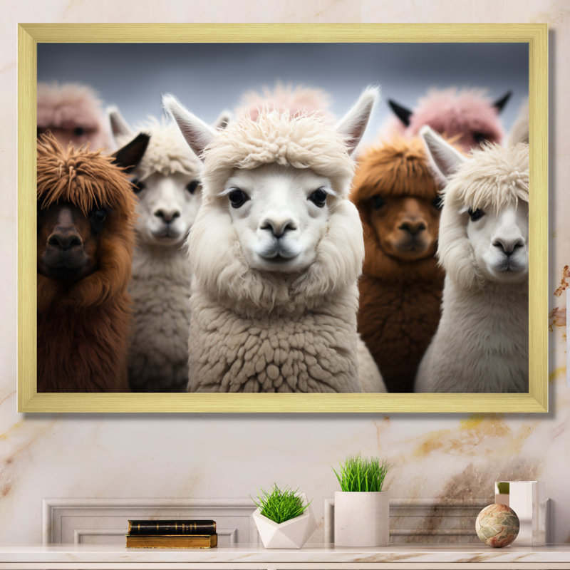 Alpacas Graceful Fibers - Imprimé, Encadrement doré, H 16 po x l 32 po x P 1 po