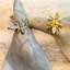 Bee Gold NR