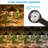 Chaleur 3W LED Landscape Light, 12V Low Voltage Pathway Light, Waterproof, ETL Listed-51015034