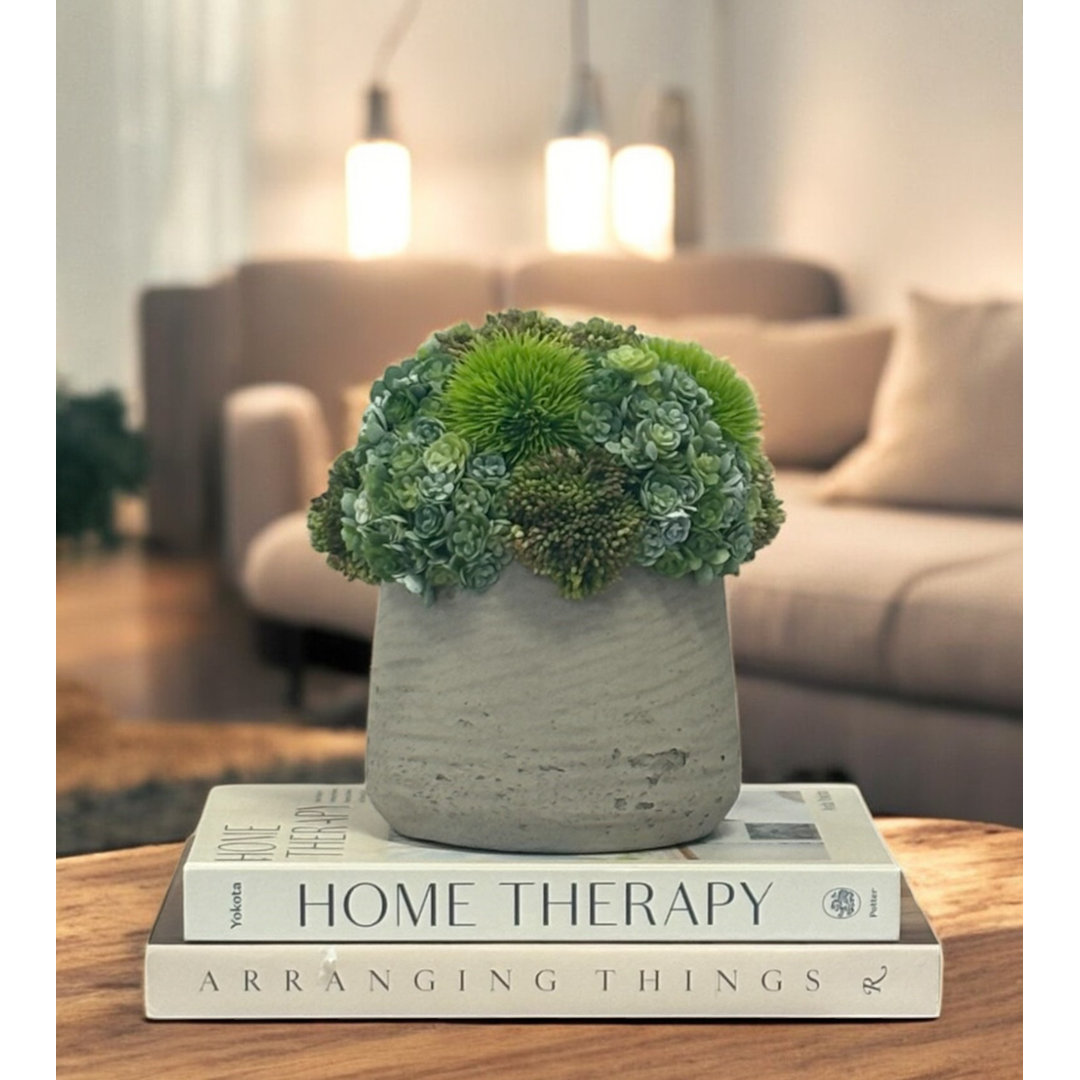 Rizal 7'' Faux Succulent Plant in Fiberstone Pot Primrue Base 