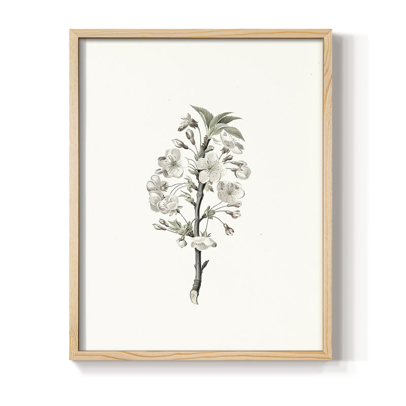 Reproduction florale vintage encadrée CL XXXVI - bois massif, Naturel, H 21 po x l 17 po