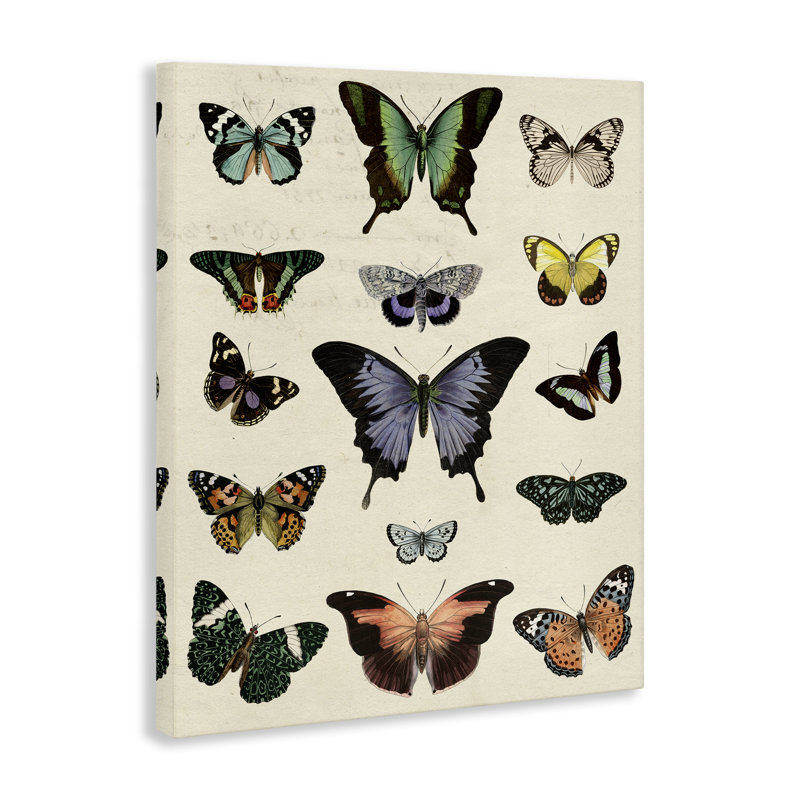 "Varied Vintage Butterflies", art mural par Susan Arnot bp-664_CN, H 40 po x l 30 po