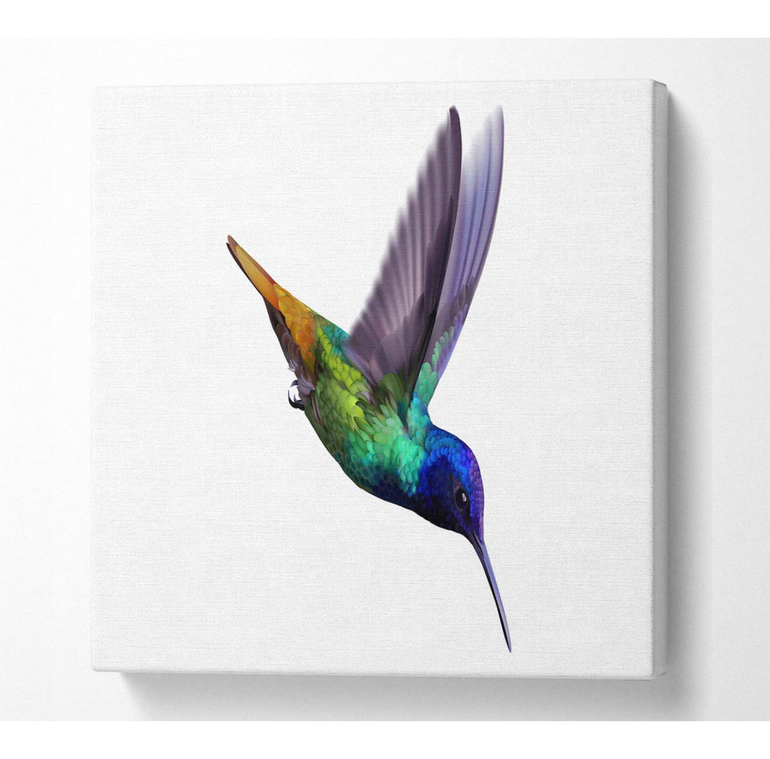 Hummingbird Colours - Kunstdrucke auf Leinwand