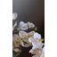 Pink Flowering Phalaenopsis Orchid 34"-1842742665-1842742664