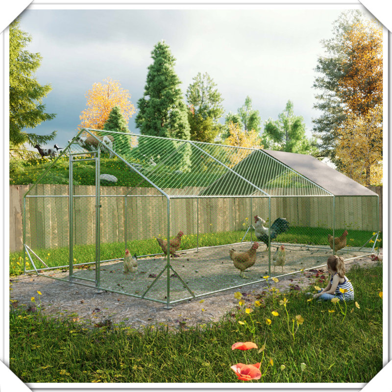 Housse imperméable anti-ultraviolets pour poulailler en métal galvanisé, H 79 po x l 240 po x P 120 po