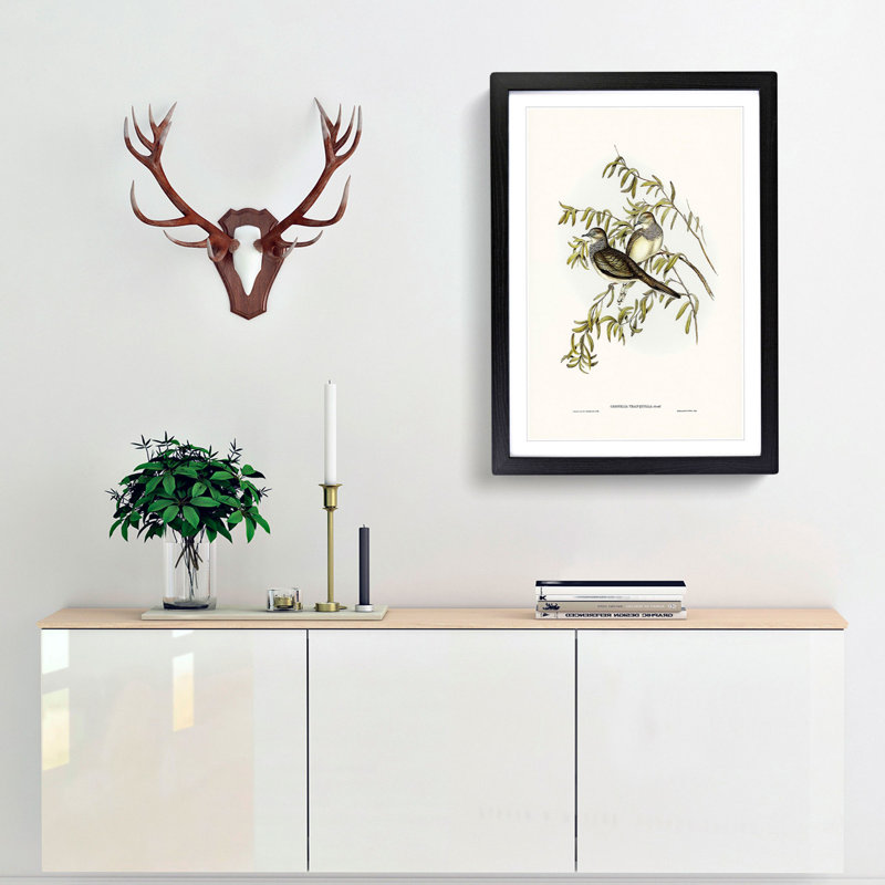 Peaceful Ground Doves by Elizabeth Gould - Framed Print, 65cm H x 48cm W x 2cm D, Black Framed