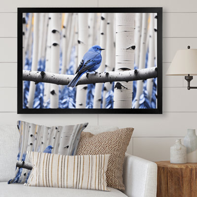 Markeis - oiseau bleu gris en forêt I - impression