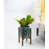 Marbre vert / noyer