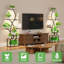 Support pour plante d'intérieur 62 po avec lumières de culture, support à 8 niveaux en forme de pointes pour le salon, le patio et le balcon