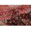 Tapis rouge Bijar 7 pi 6 po x 7 pi 7 po