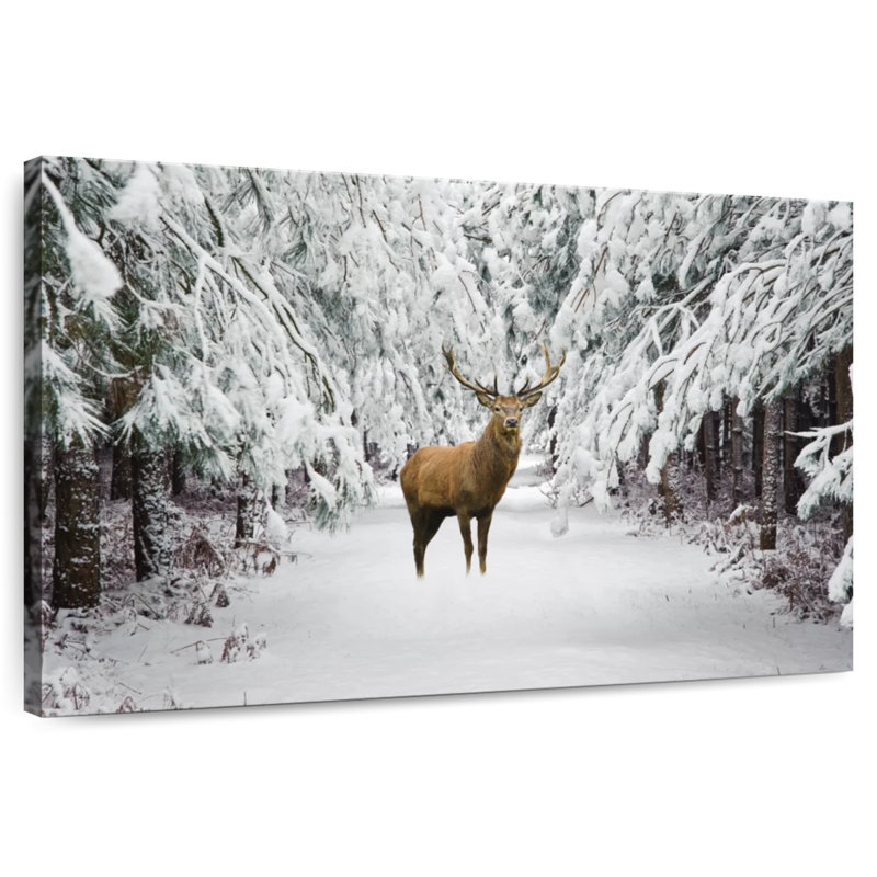 Cerf rouge Brampt, H 26 po x l 39 po