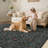 Machine Washable Rug Non Slip Non Shedding Rug Foldable Indoor Carpet for Living Room Bedroom Playroom Dorm Home Office-1646418604-1646418595
