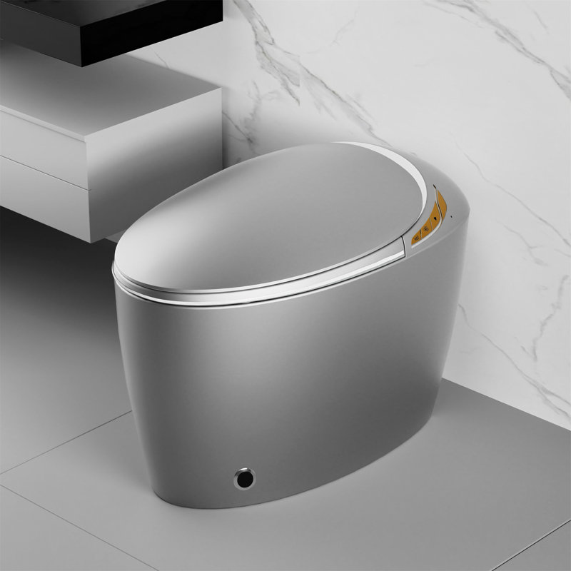 Smart Toilet With Bidet Built In, Silver
