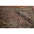 Distressed  Traditional Area Rug 6x10