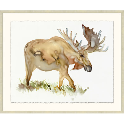 Moose Sighting 2 - Peinture encadrée