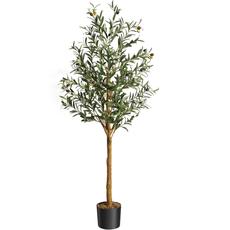 Olive artificielle en fausse soie, 2, H 72 po x l 5 po x P 5 po