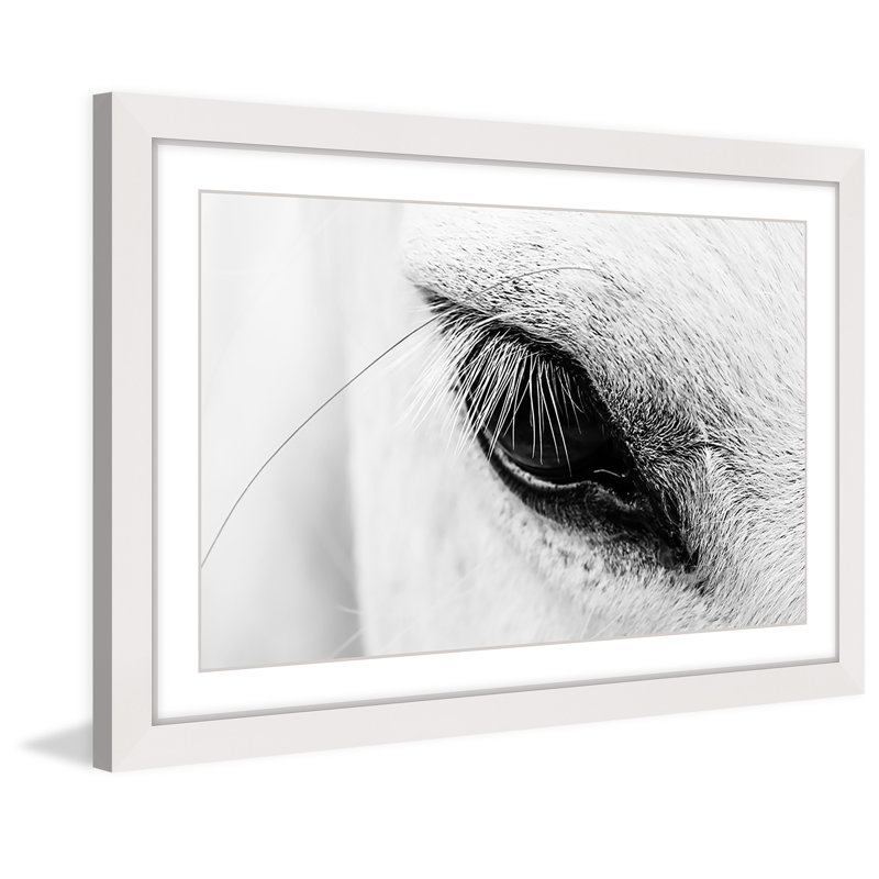 « trusting eye »-cadre photo, impression sur papier, Cadre blanc, H 20 po x l 30 po x P 1,5 po