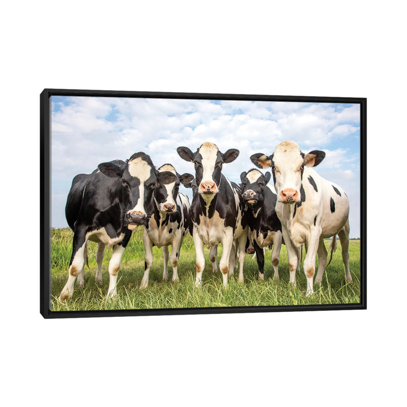 Petites amies, H 18 po x l 26 po x P 1,5 po, Toile avec cadre noir