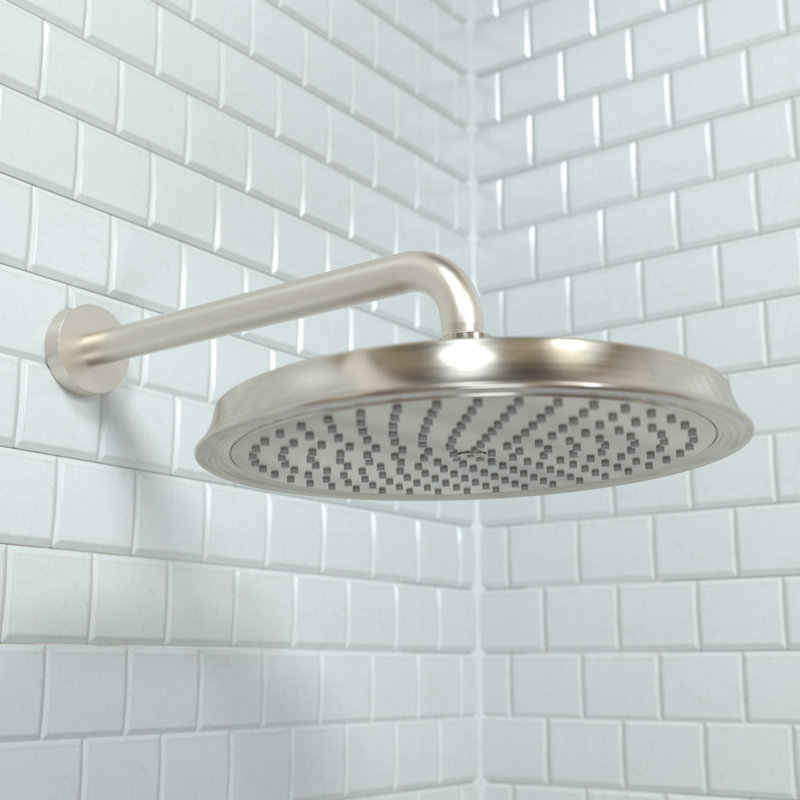 Raindance C 240 Shower Head, Brushed Nickel, 2.5 GPM