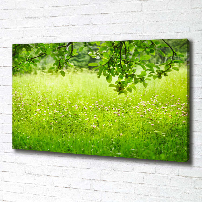 Green Meadow - Wrapped Canvas Print