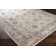 Allie Oriental Indoor Rug