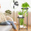 Plant Stand