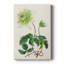AntiqueFloralFolioVIII - Gallery Cavas sur mesure
