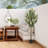 70.8"H Artificial Olive Tree 1pc/set