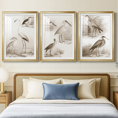 Oiseaux d'eau sépia I - reproduction sur mesure encadrée de qualité supérieure - 3 pièces
