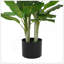 42 "plante artificielle avec pot de Daffenbachia