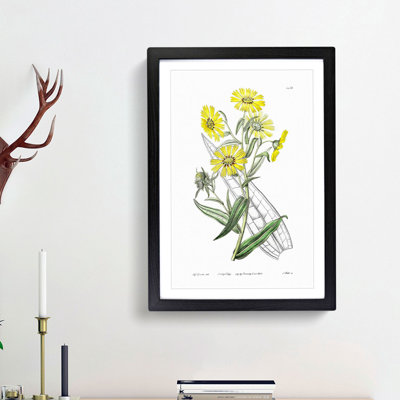 Yellow Daisies - Picture Frame Painting Print