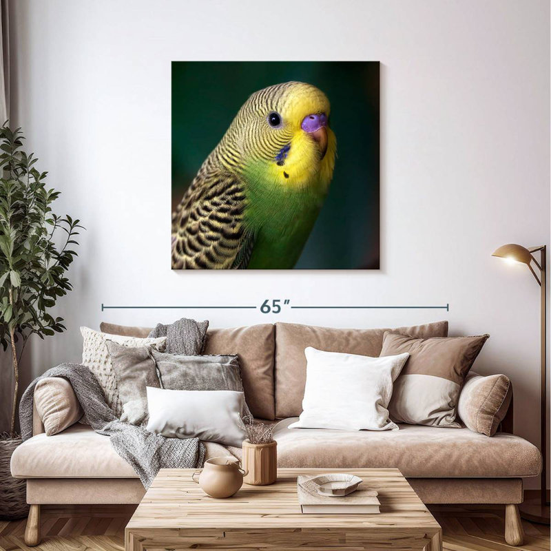 Crowle Budgie Close Up