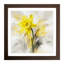 Daffodil Gestural Art - Framed Print-1661493316