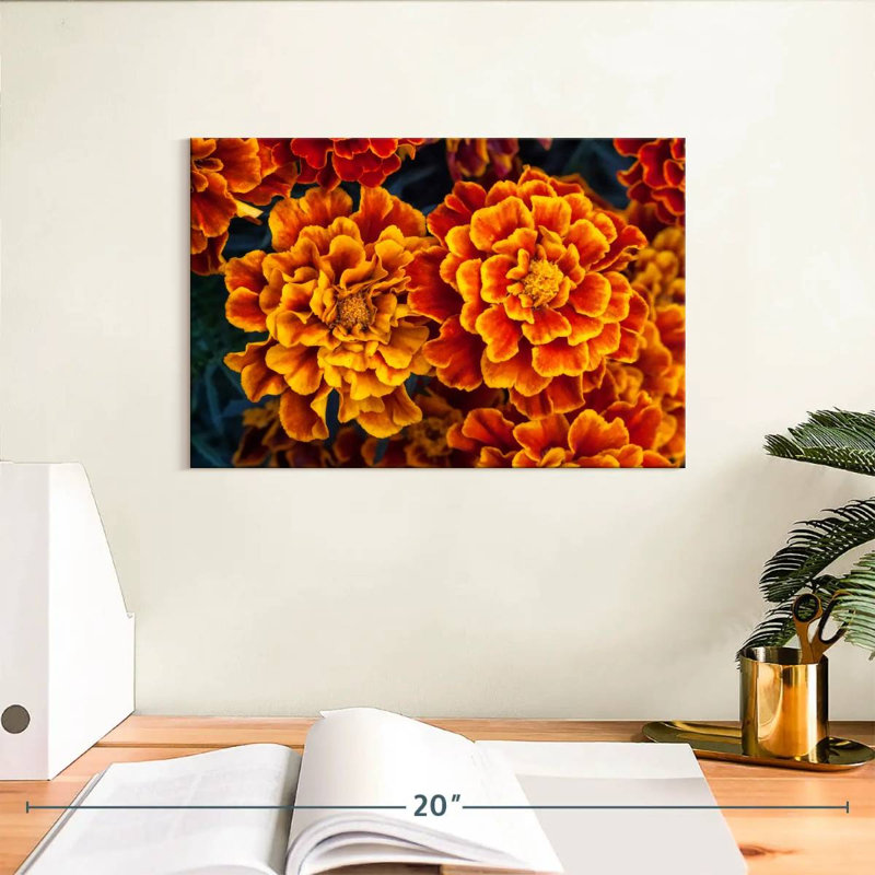 Harnek Marigold Flowers, 8" H x 12" W